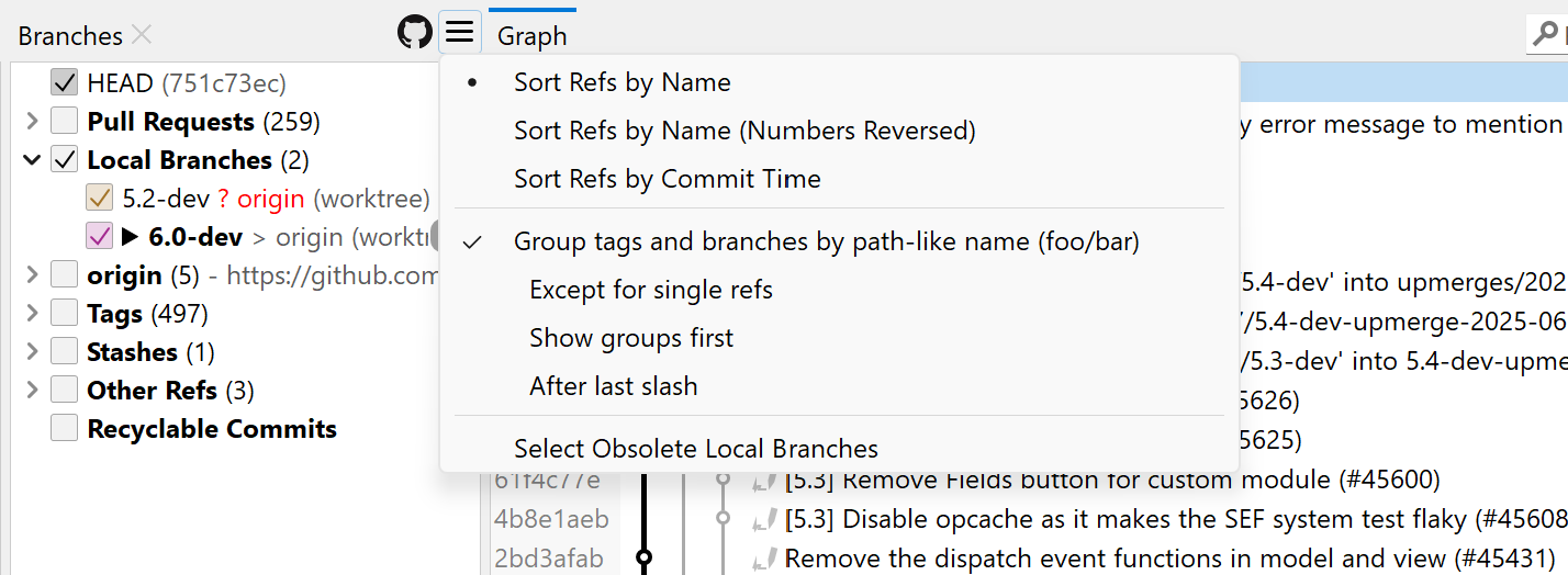 SmartGit Graph View menu options for fine-tuning Git history display with customizable branch and commit filters.
